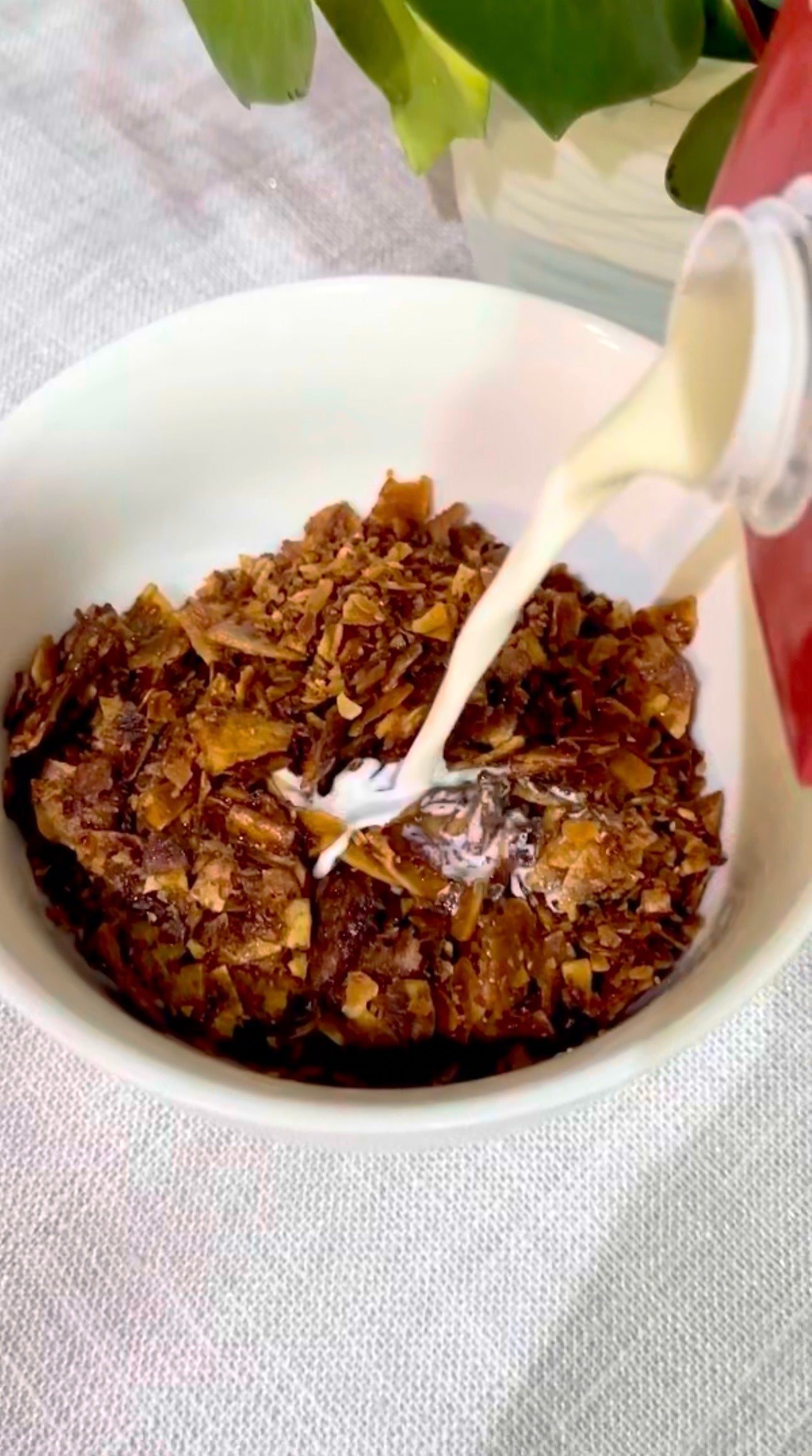 Cereal de cocadas