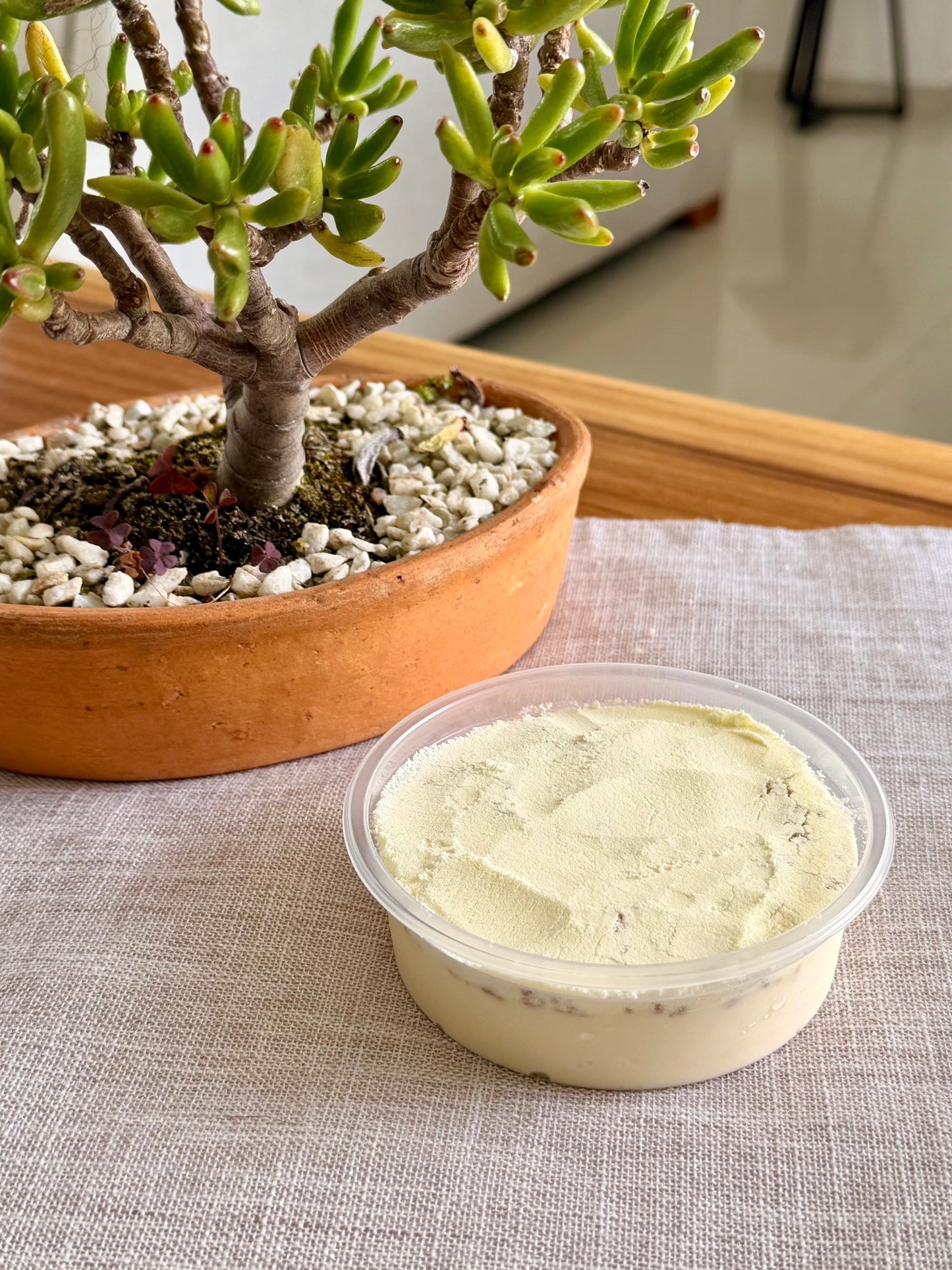 Pavé de leche Klim